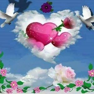 Meet your Posher, Elvira